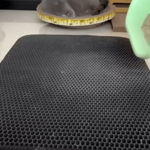 CatMat Pro - Covoras anti-mizerie pentru animale de companie