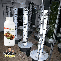 Ingrasamant plante SuperGrow