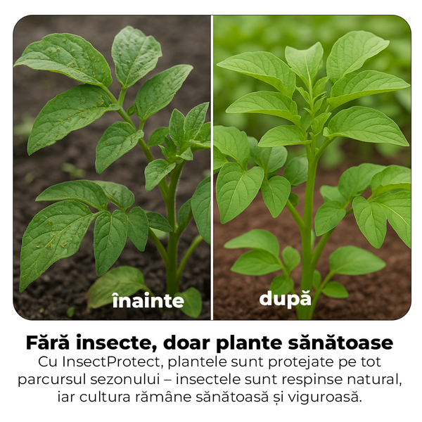 InsectProtect – Spray Bio împotriva dăunătorilor pentru plante și flori 🌱🌸