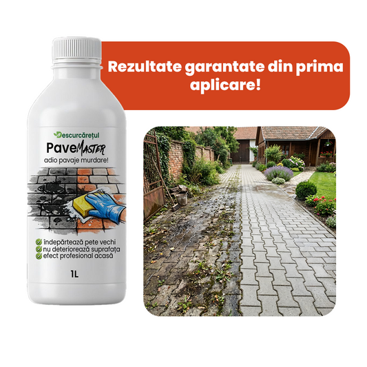 PaveMaster