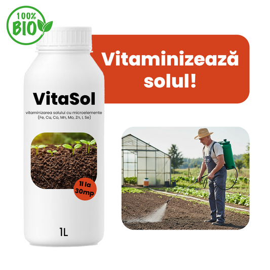 VitaSol Remineralizant Sol 1L