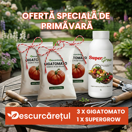 Oferta Rosii Gigant