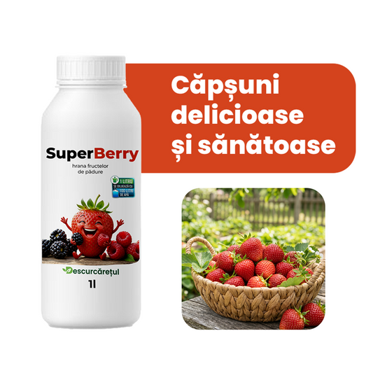 SuperBerry 1L – Îngrășământ Bio pentru Căpșuni