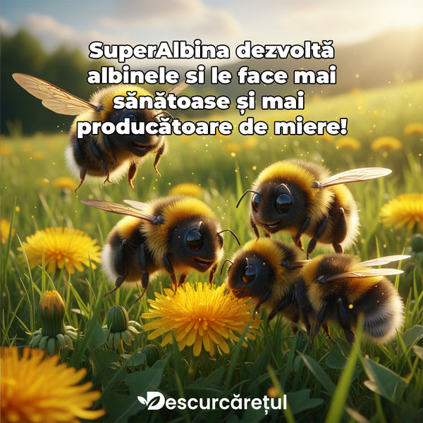 SuperAlbina – Biostimulator Vitaminic pentru Familii de Albine