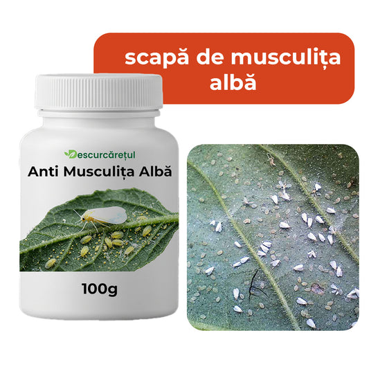 Pulbere Concentrată Anti Musculiță Albă