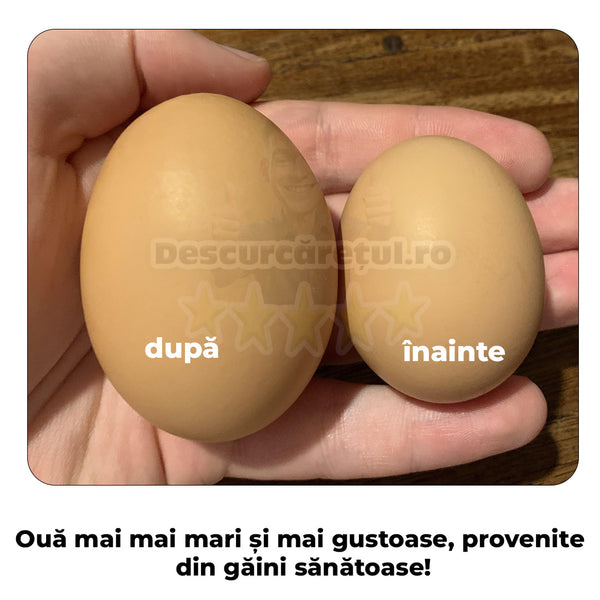 SuperGaina - aditiv natural pentru hrana pasari