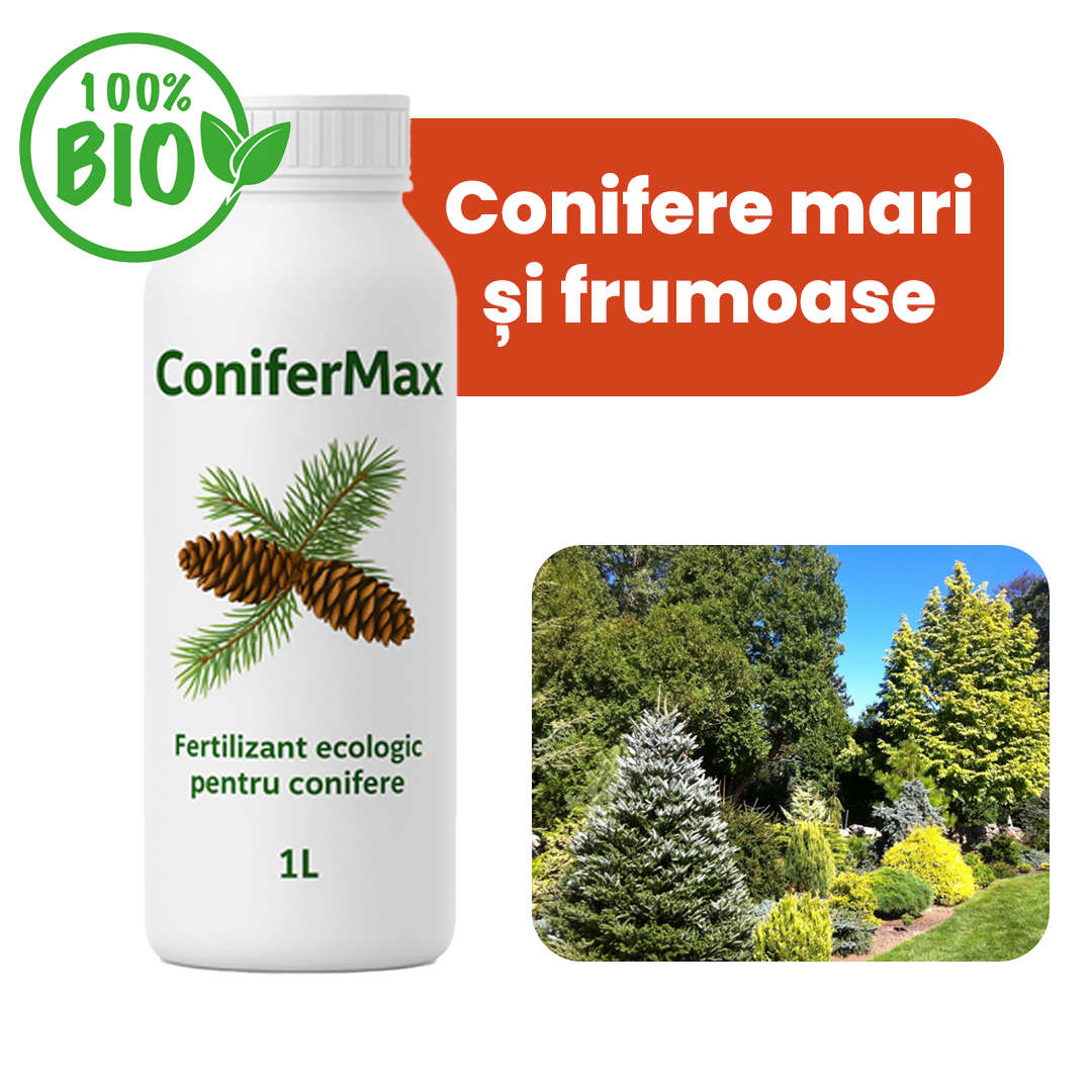 ConiferMax 1 Litru – Îngrășământ Special pentru Conifere și Tuia descurcaretul