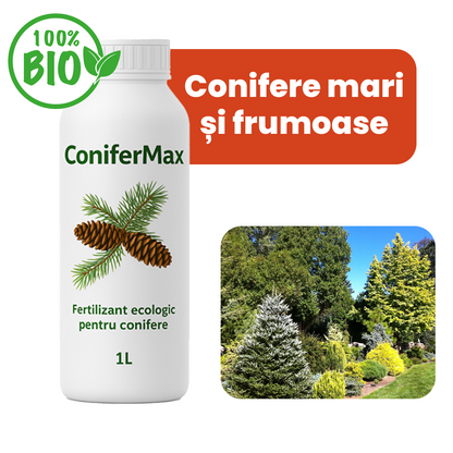 ConiferMax 1 Litru – Îngrășământ Special pentru Conifere și Tuia descurcaretul