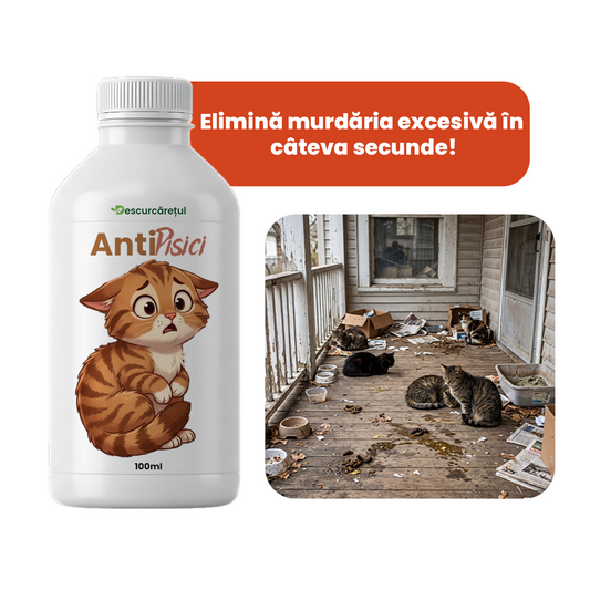 AntiPisici – Repelent Natural pentru Pisici