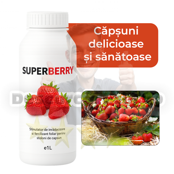 SuperBerry Fertilizant Organic pentru Căpșuni